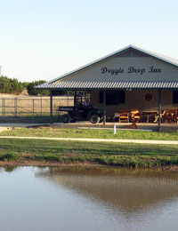 facilities link