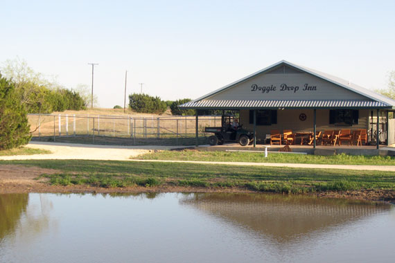 Kennel 1