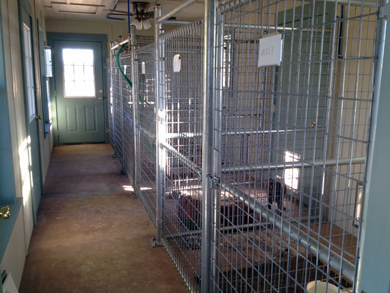 Inside pens